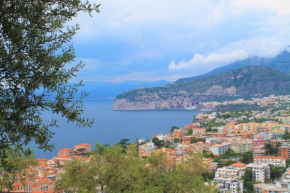 Sorrento Pacific Hill Sorrento